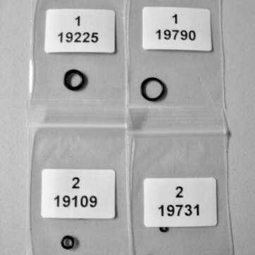 Regulador O-Ring De Rifle