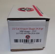NIELSEN SLUG HP | 24.8GR | CAL.22